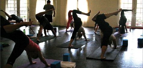 5 point yoga studio