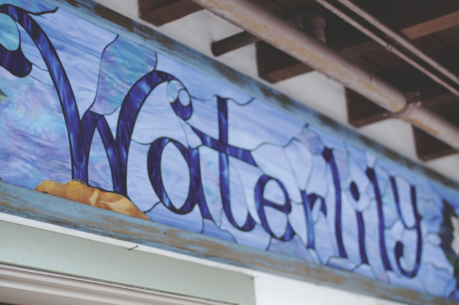 Waterlily+Cafe