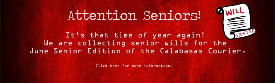Attention Seniors! Time for Senior Wills!