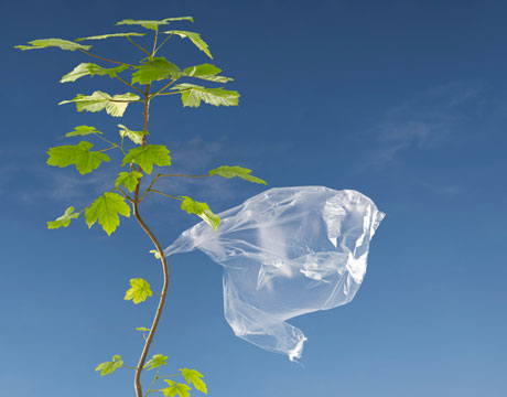 City of Los Angeles bans the sale of single-use plastic bags