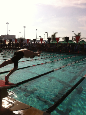 denis reznik breaks chs swim records