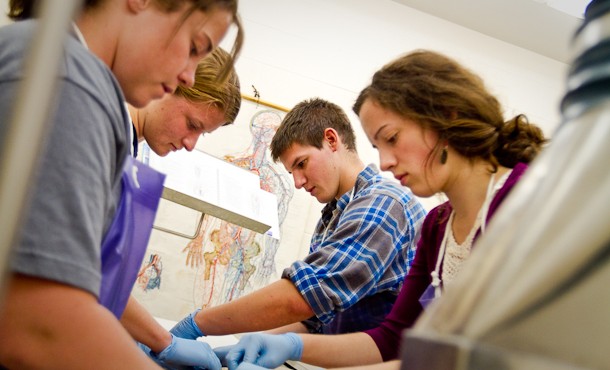 School dissections expose students to unethical treatment of animals as well as potential health risks