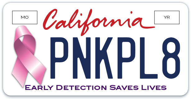 Breast cancer license plates help raise money for cancer research and awareness