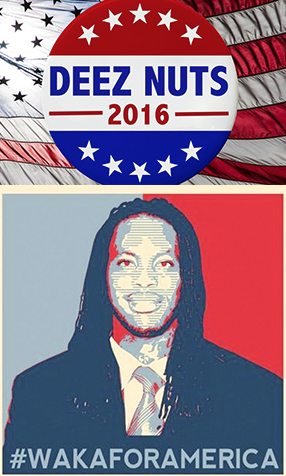 Independent candidates for the 2016 presidential election