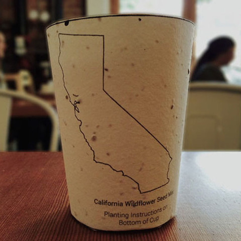 New plantable coffee cups contribute to reforestation