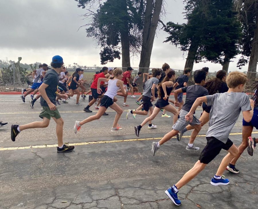 Cross country works hard in preparation for the Marmonte League Championships