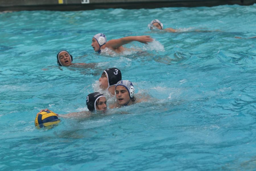 Boys+water+polo+works+for+a+successful+season