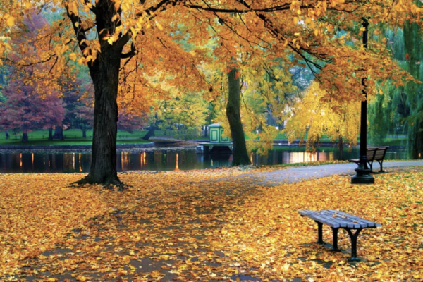 Why fall is the best season