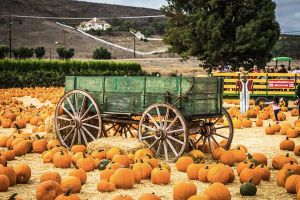 Community spirit shines in Calabasas events
