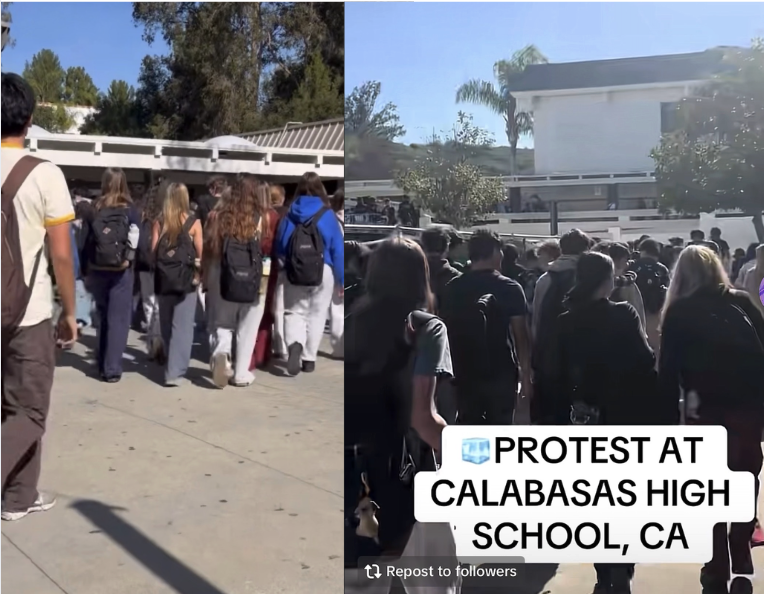 Screenshots of CHS students' posts on TikTok and Instagram. 