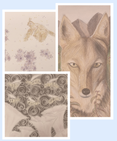 Images By Mia Sayadian (Coyote), Jade Bassis (Turret Bees), and Lian Avitan (California Quails)